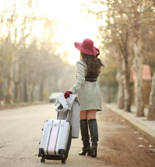 French Grey & Pink Trio Luggage Set_bags