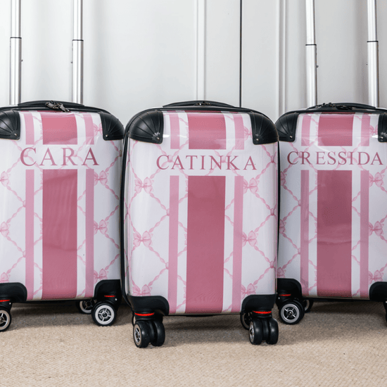 The Pink Bow Luggage_bags