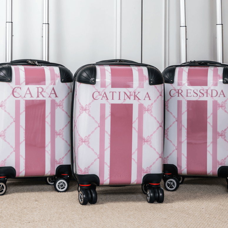 The Pink Bow Luggage_bags